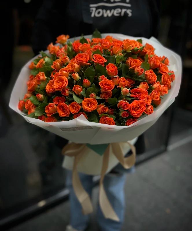 Помаранчева кущова троянда Babe Нідерланди 35 шт 40 см